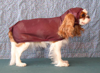 Show Down dog custom made apparel Torri in a bath coats drying coats